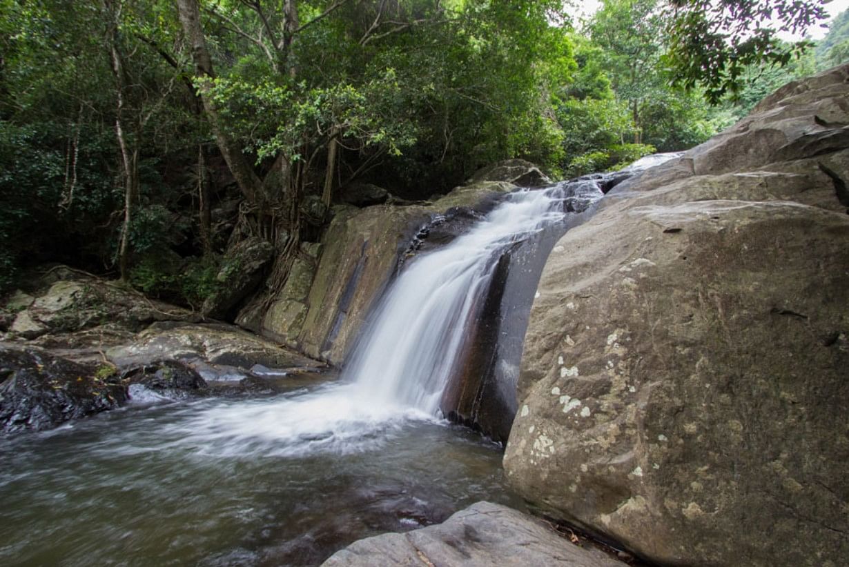 Pala U Waterfall & Kaeng Krachan Jungle Tour with Private Guide