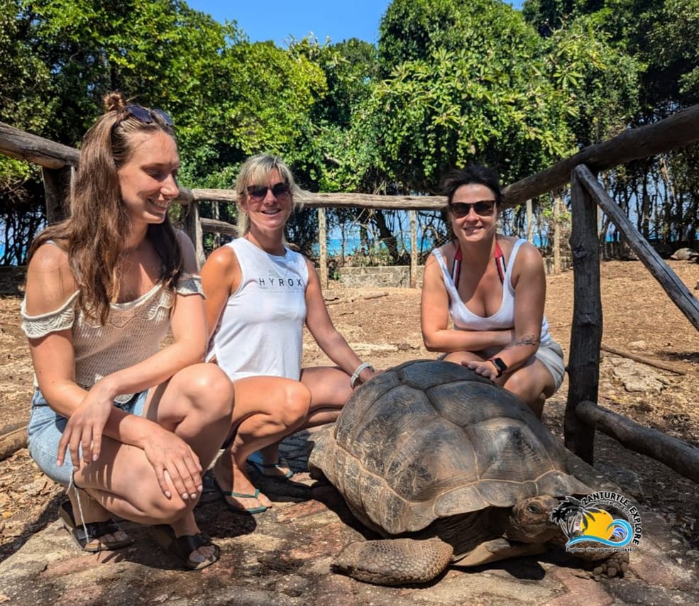Zanzibar Prison Island Giant Big Tortoise Tour 7
