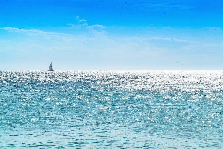 5 tours in 1 (Eco Farm/Horseback/City Tour/Buggy/Zipline)