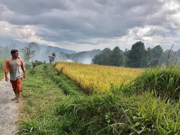 Borobudur – Prambanan Private Tour
