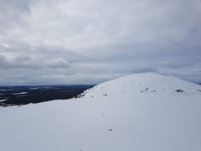 Wilderness Skiing in Powder Snow 8