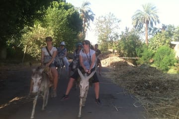 Donkey Ride and Local Meal in Luxor Country Village