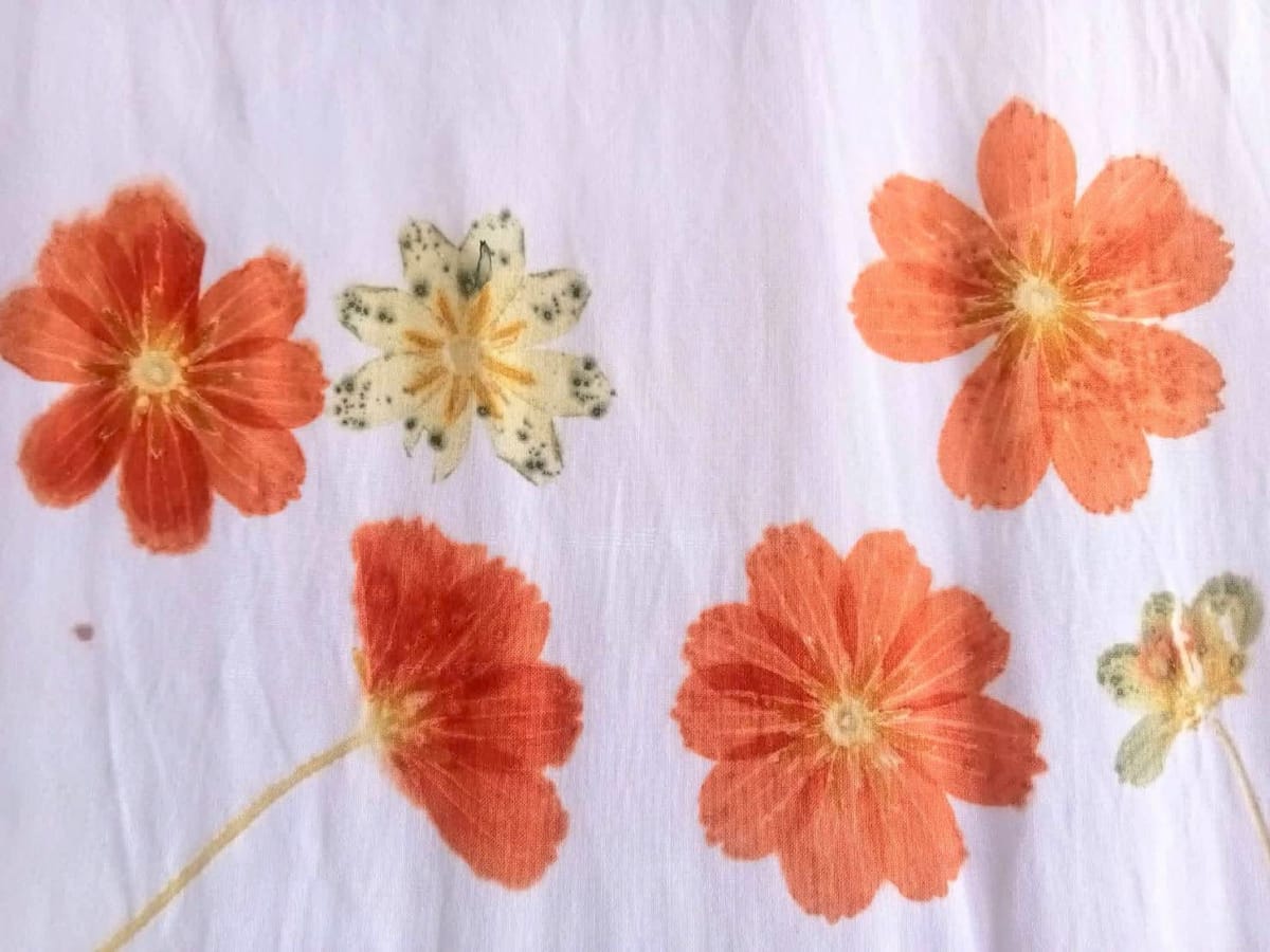 Koh Yao Native Touch & Local Tours