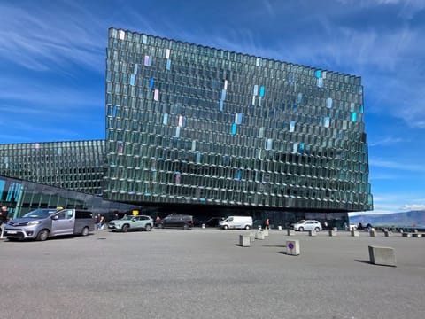 Reykjavik City Tour Experience, photo 2