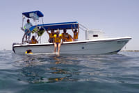 SNORKELING WITH TURTLES  5