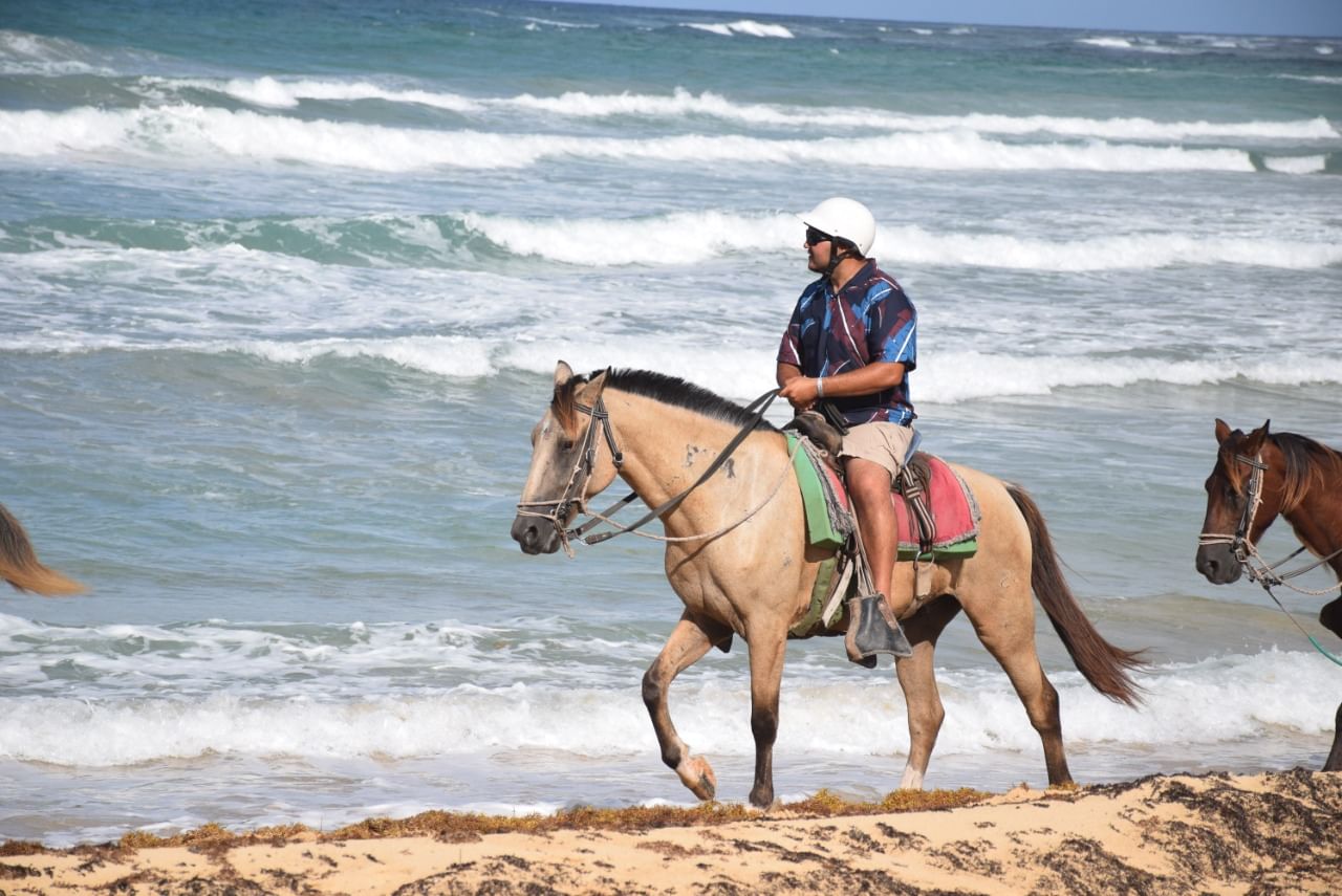 HORSE BACK RIDING FROM PUNTA CANA