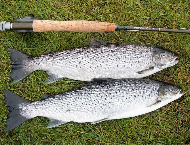 Salmon & trout fishing on a Connemara fishery. Galway. Private guided. French/Eng photo 6