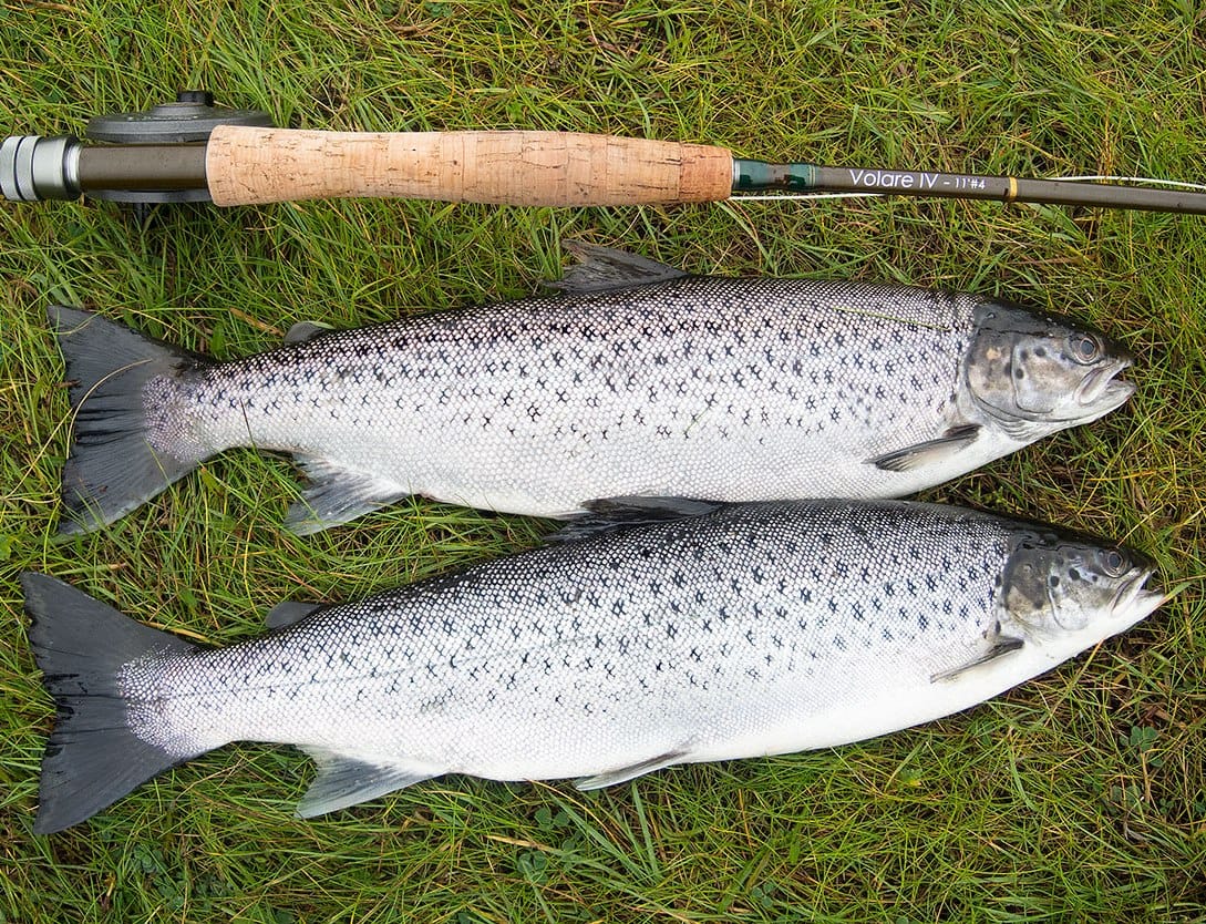 Salmon & trout fishing on a Connemara fishery. Galway. Private guided. French/Eng 6