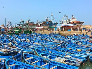 From Marrakech To Essaouira Mogador Full Day Trip | Small-group