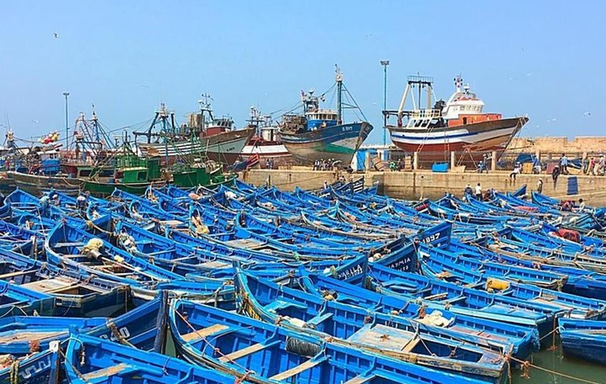 From Marrakech To Essaouira Mogador Full Day Trip | Small-group