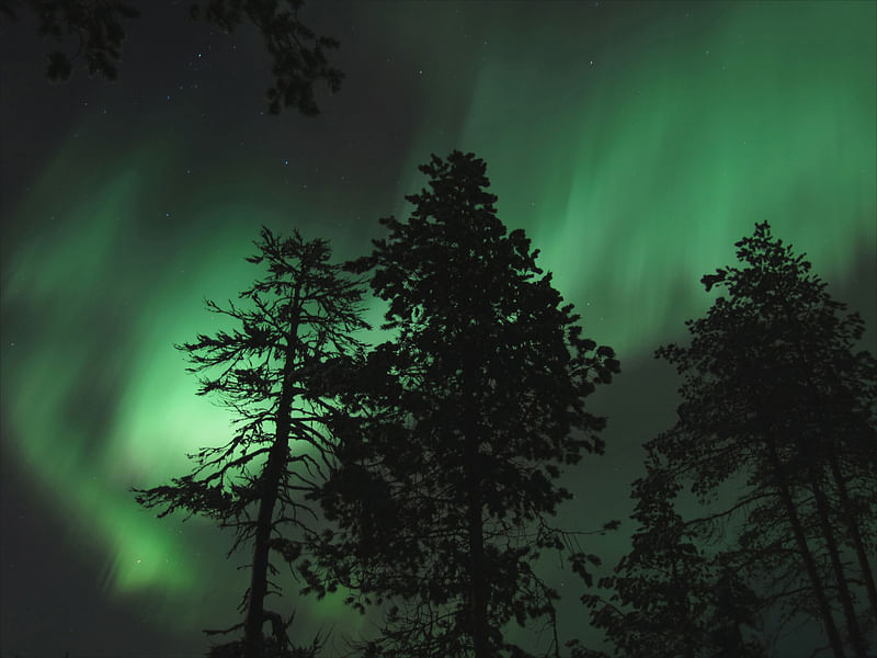 Ultimate Snow wagon tour to search northern lights-