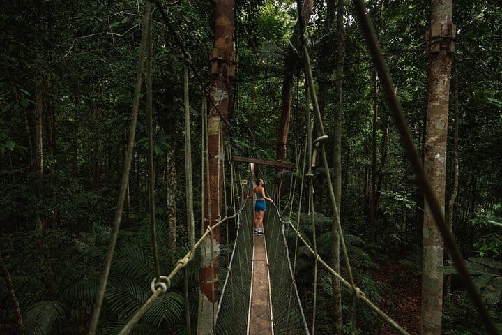 Taman Negara Canopy Walkway