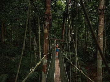 Taman Negara Canopy Walkway