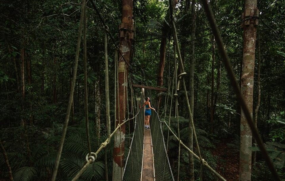 Kuala Lumpur ↔ Taman Negara Private Transfer