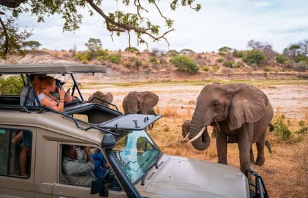 6 Day Nairobi, Lake Nakuru and Masai Mara Group Joining Safari