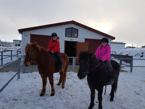 1 Hour - Winter Red lava Tour (With or Without Pick Up) , photo 2