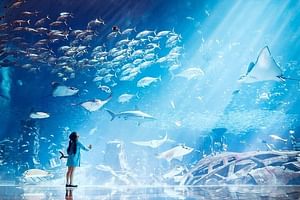 Dubai Atlantis Lost Chamber Aquarium
