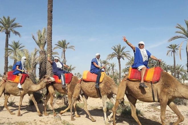 traces berbere camel trek