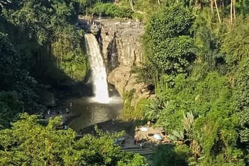 Ubud Cultural and Nature Tour in Sebatu and Tegalalang