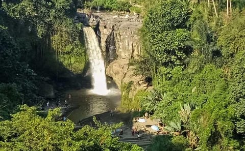 Ubud Cultural and Nature Tour in Sebatu and Tegalalang