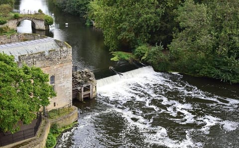 Private Tour of Blenheim Palace and Warwick Castle from London