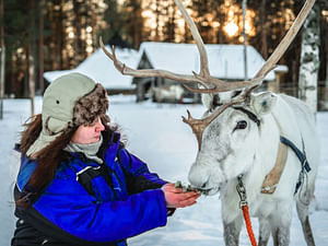 Reindeer Safari at a 200-Year-Old Farm & 2.5 km Sled Ride