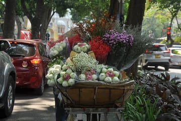 Cyclo Tour of Hoàn Kiếm District in Hanoi