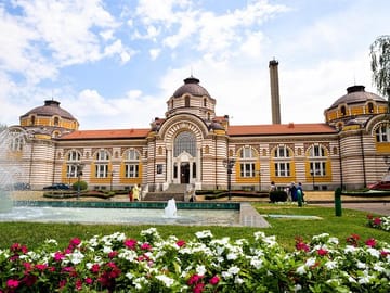 Sofia