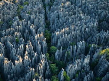 1 Day Stone Forest & Jiuxiang Cave Tour