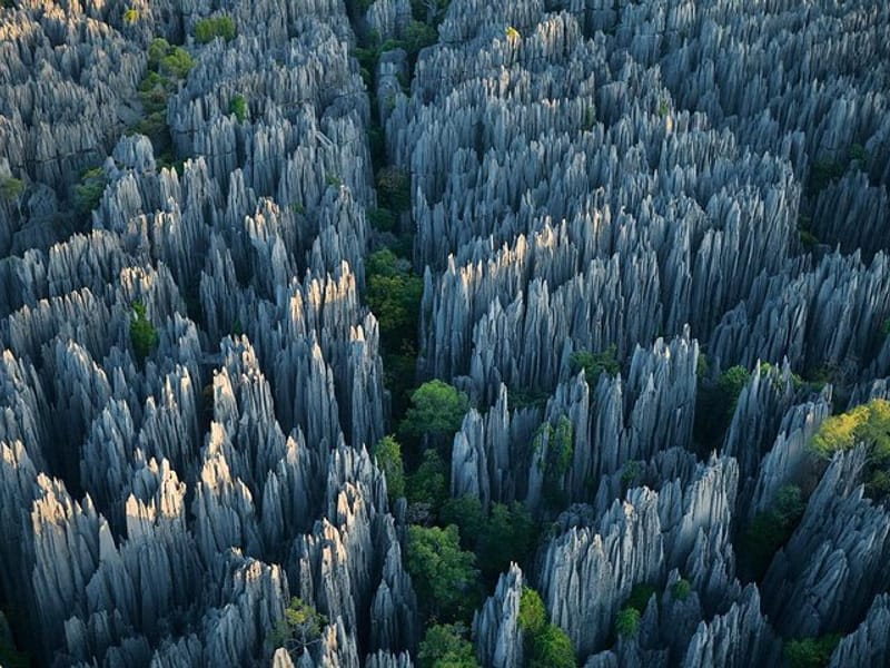 1 Day Stone Forest & Jiuxiang Cave Tour