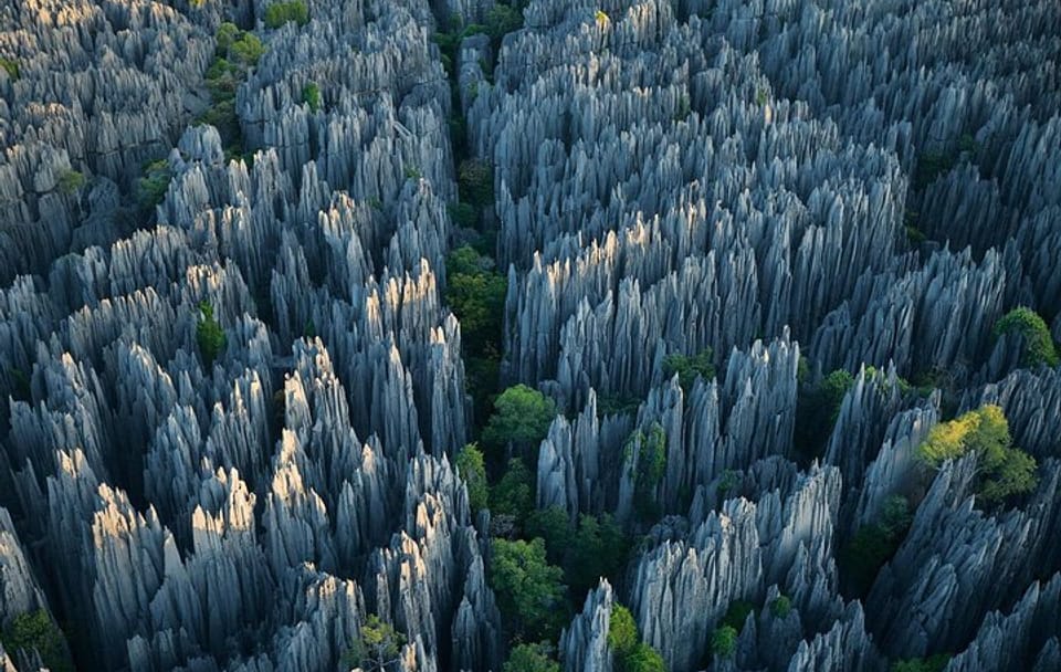Stone Forest and Jiuxiang Cave Day Tour in Yunnan