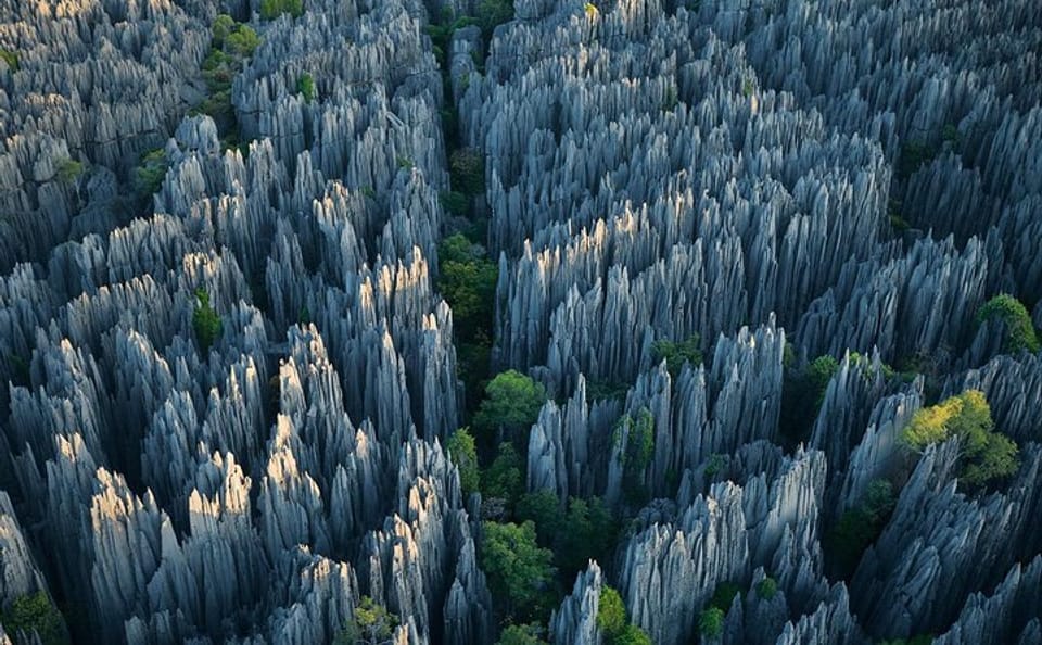 Stone Forest and Jiuxiang Cave Day Tour in Yunnan