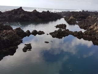Freedive foodhunt , photo 11