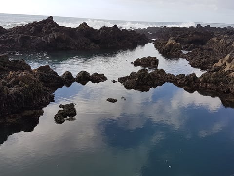 Freedive foodhunt , photo 11