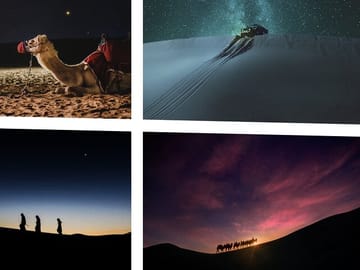 Night Desert Safari, Falcon Tours, Doha-Qatar