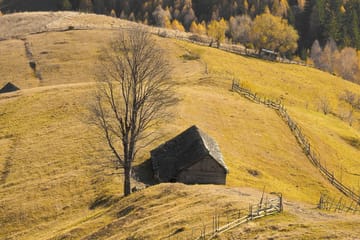 Small-Group Hiking Tour of Romanian Mountain Villages from Brașov