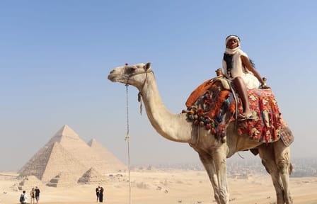 VIP Private Tour of Giza Pyramids and Sphinx with Camel Ride
