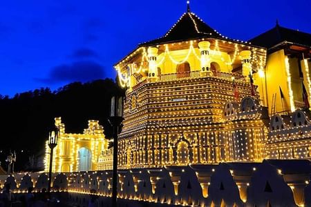 Shore Excursions Colombo port passenger Terminal to Kandy via Pinnawala
