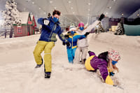 Ski Dubai Snow-Plus Pass & Marina Dhow Dinner Cruise with Private Transfers 9