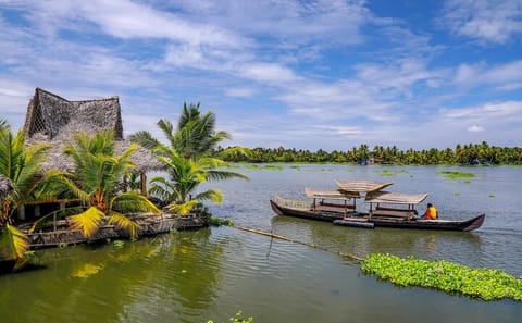 Cochin to Alleppey Backwaters Tour with Overnight Stay