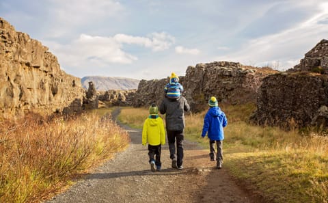 6-Day Sightseeing Tour of Reykjavík and Iceland's Highlights