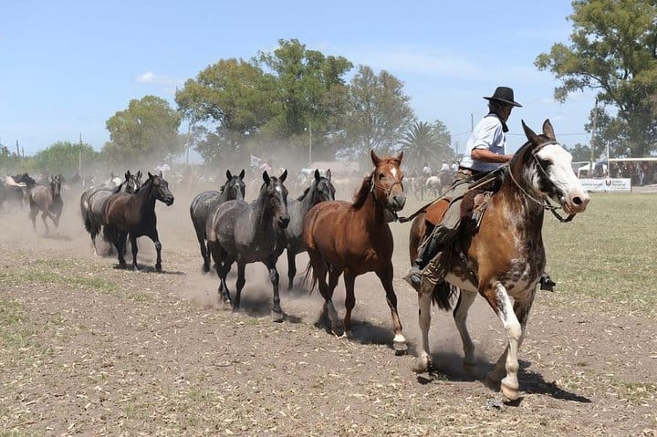 Don Silvano Ranch Gaucho Day Trip from Buenos Aires