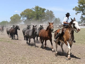 Don Silvano Ranch Gaucho Day Trip from Buenos Aires