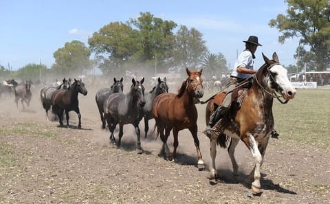 Gaucho Cultural Day Trip to Don Silvano Ranch from Buenos Aires