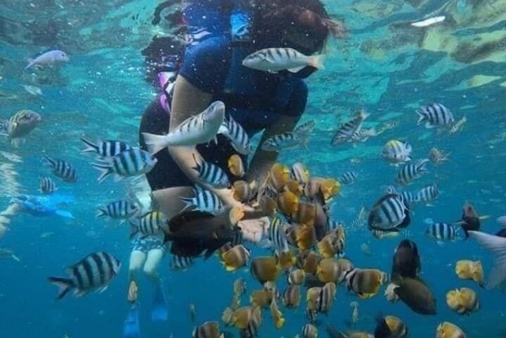 Bali: Blue Lagoon and Tanjung Jepung Snorkeling Tour 5