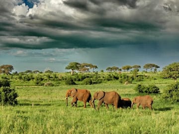 3 Days Short Safari to Tarangire, Ngorongoro Crater and Lake Eyasi