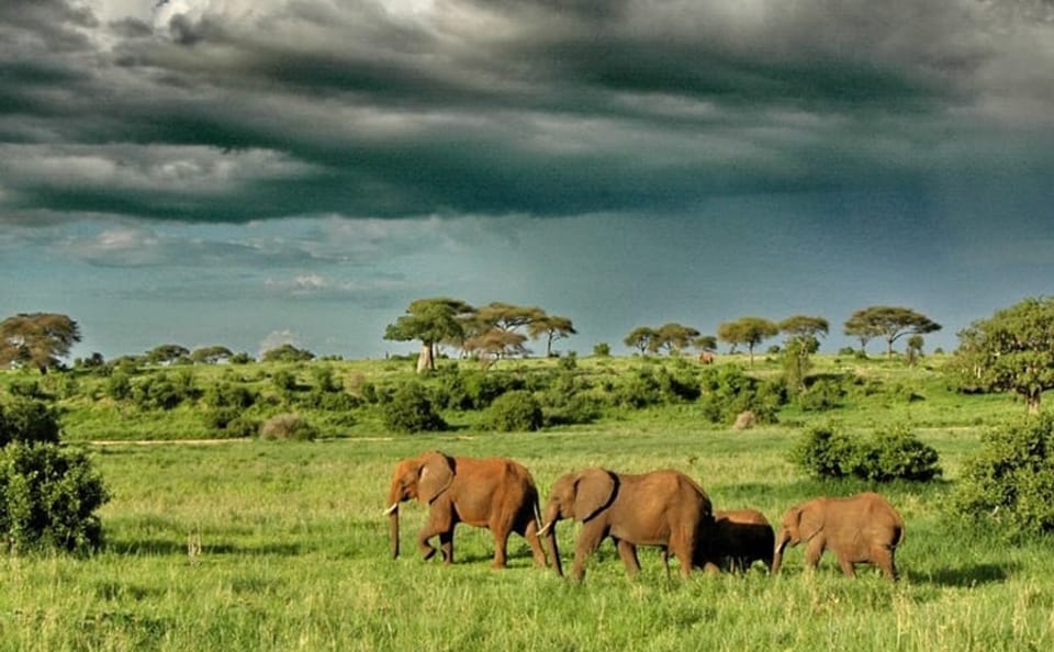 3 Days Short Safari to Tarangire, Ngorongoro Crater and Lake Eyasi