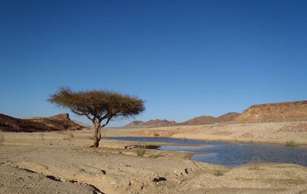 Private Old Virgin Canyon: Unveiling the Secrets of Sinai