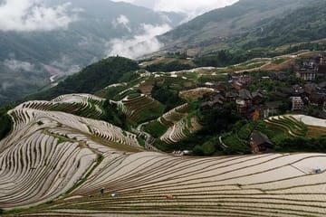 Longji Rice Terraces and Minority Village Cultural Tour