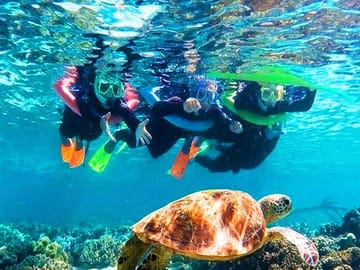 Roatan rich marine life